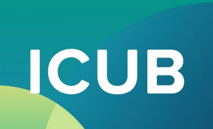 bursele-icub-1