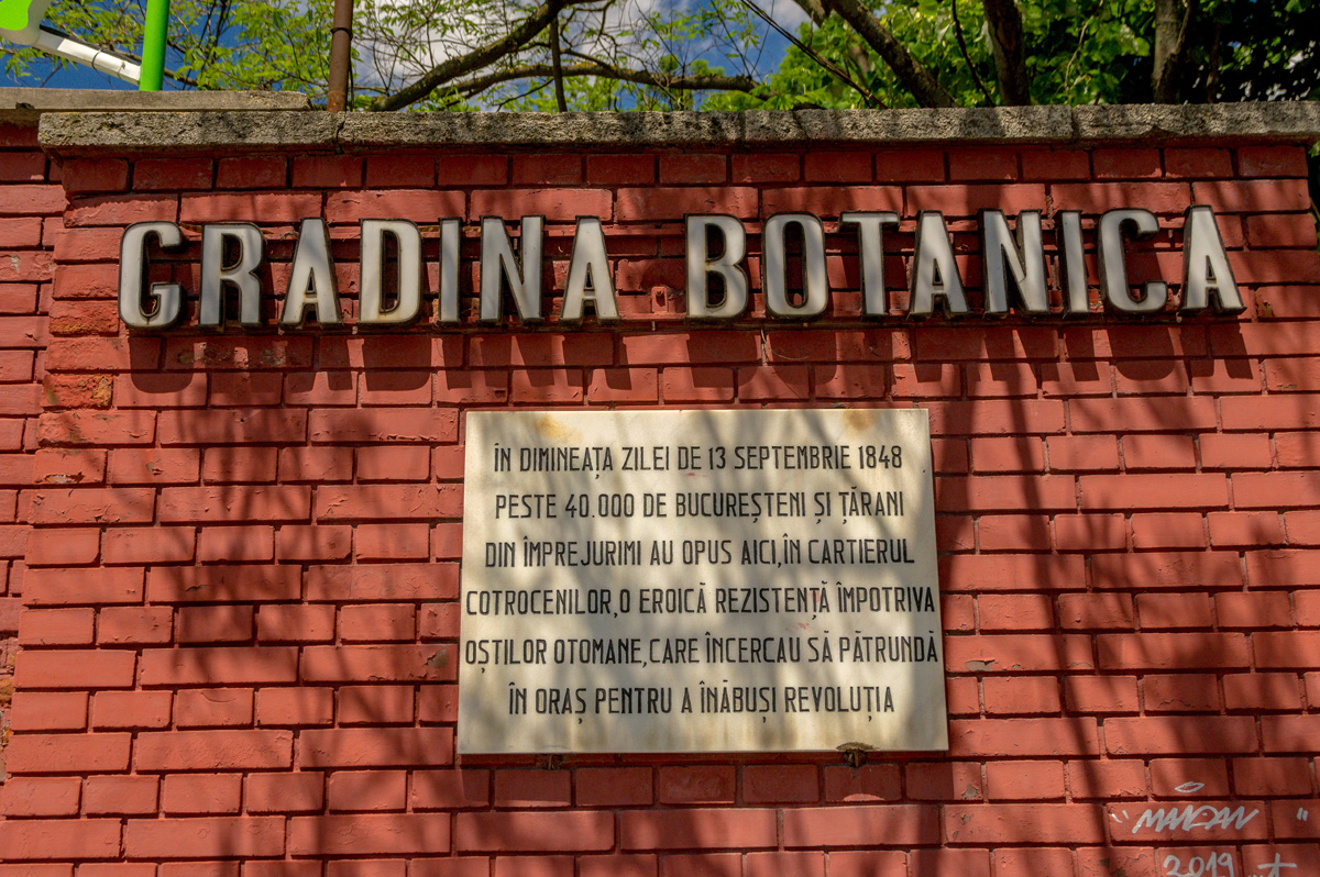 gradina-botanica-img