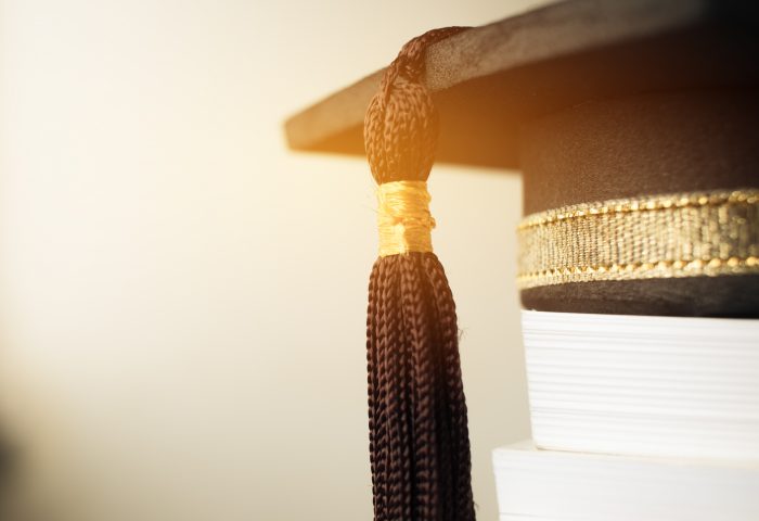 Imagine reprezentativa pentru Grade didactice preuniversitare
