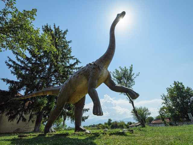 11.Magyarosaurus dacus_Dan Dinu