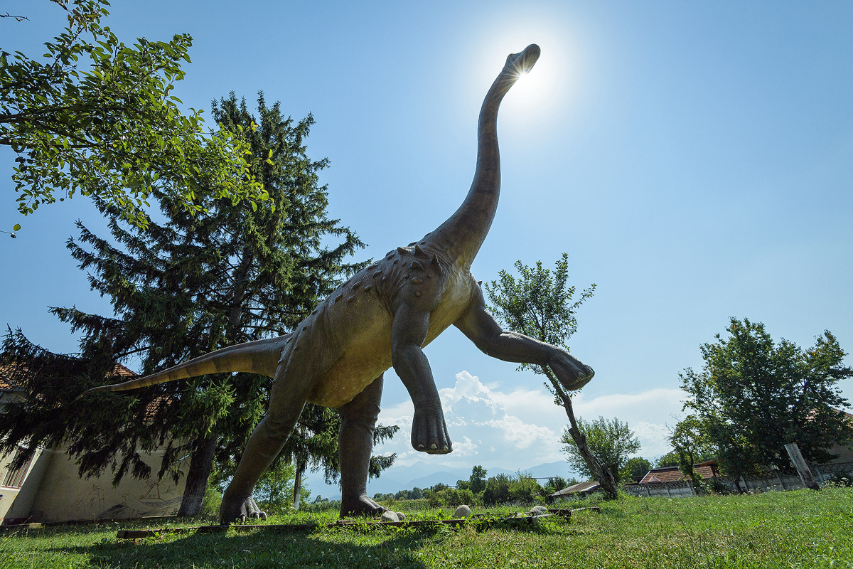 11.Magyarosaurus dacus_Dan Dinu