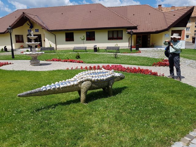 12.Struthiosaurus transsylvanicus_com.Salasu de Sus_D.H.Popa