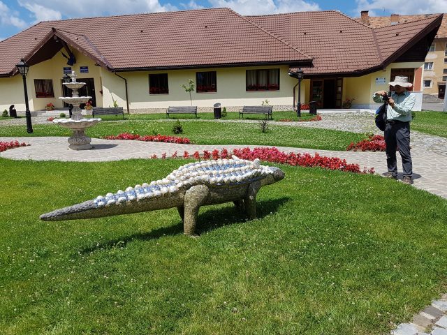 12.Struthiosaurus transsylvanicus_com.Salasu de Sus_D.H.Popa
