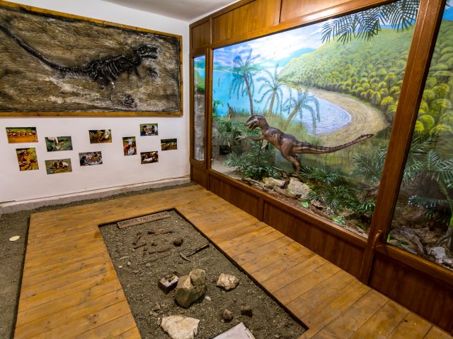 5.Casa Dinozaurilor Pitici_sat Sanpetru_comuna Santamaria Orlea_A.Radulescu