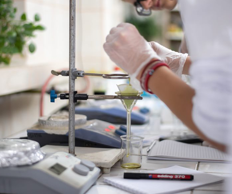 Proiect CHEMPOET