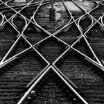migrations