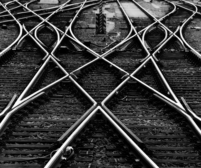 migrations