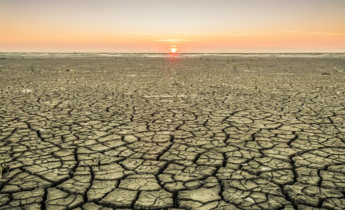 stire climat change