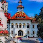 FAA UNIBUC Focsani specializare admitere 2021 universitatea din bucuresti ub. Credit foto: Mihai Pîrlog