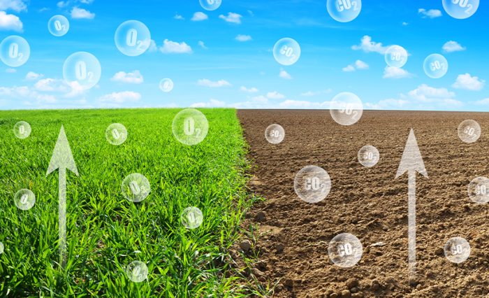 Dinamica carbonului organic din solurile lumii - STIRE (1)