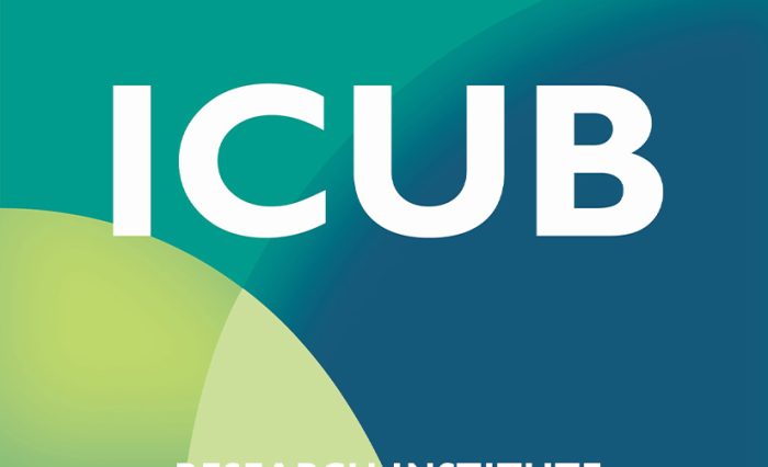 ICUB - STIRE