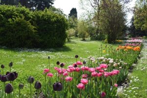 Grădina Botanică 3
