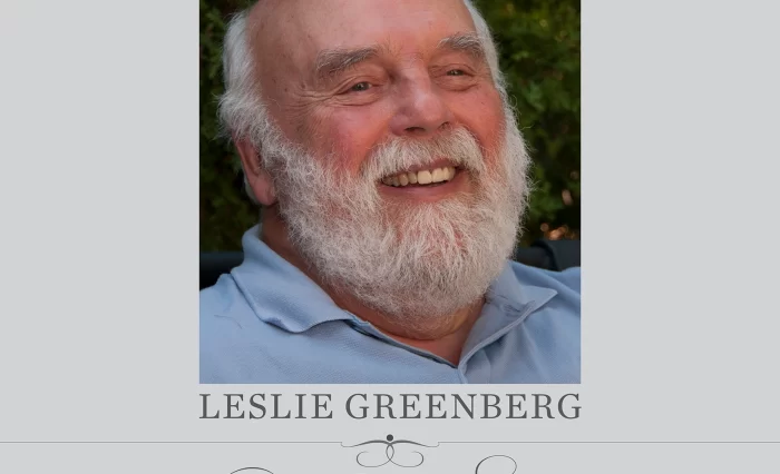 stire Greenberg copy
