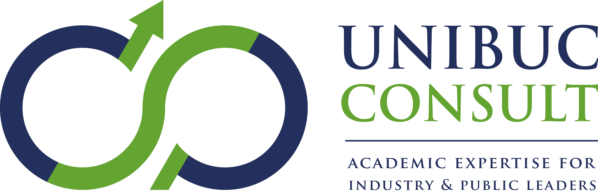 UniBuc Consult Logo white bckg